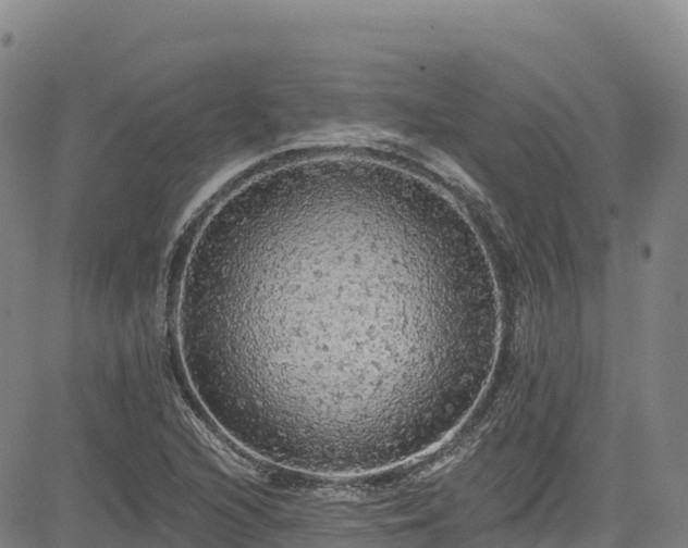 X0000085061216200703121516