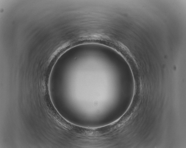 X0000085061218200703121516