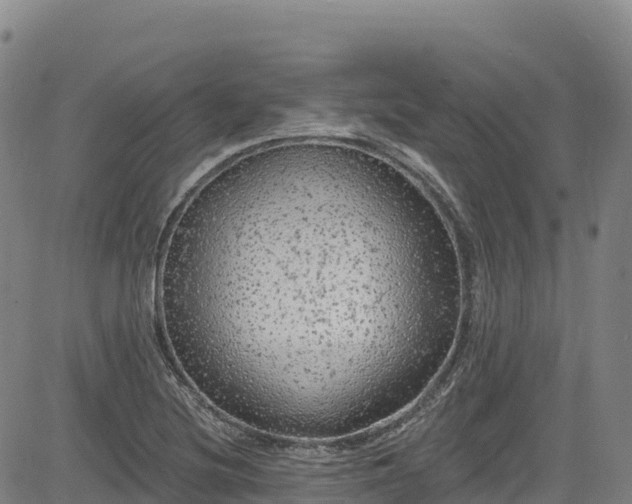 X0000085061220200703121516