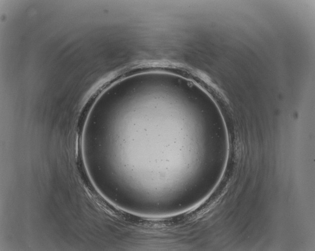 X0000085061221200703121516