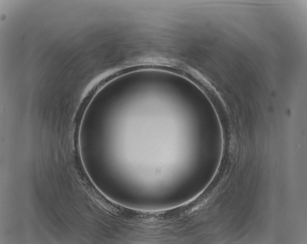 X0000085061222200703121516