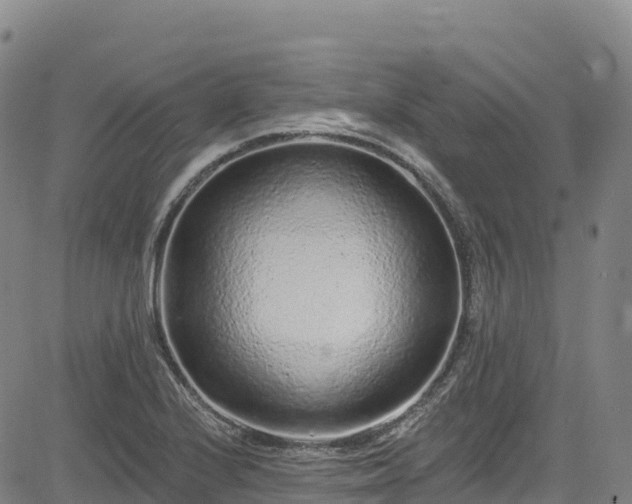 X0000085061224200703121516