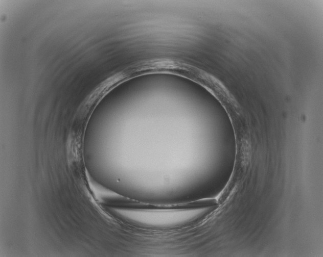 X0000085061225200703121516