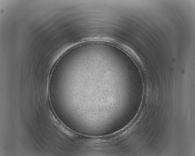 X0000085061228200703121516