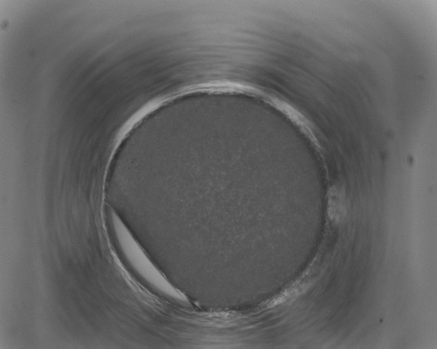 X0000085061229200703121516