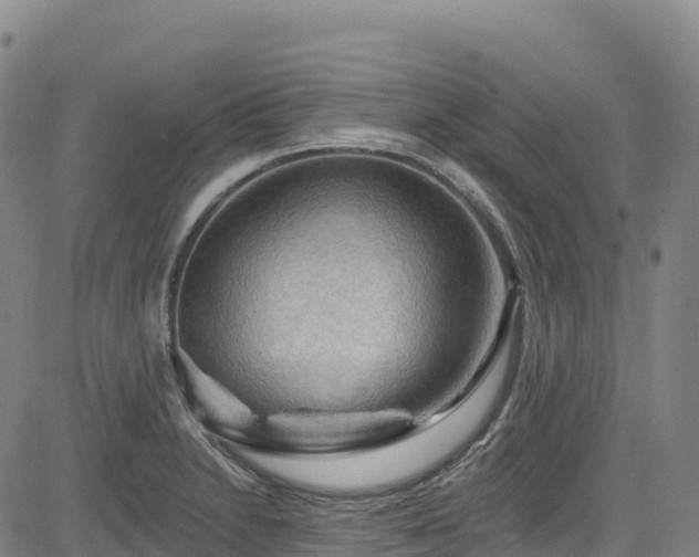 X0000085061230200703121516