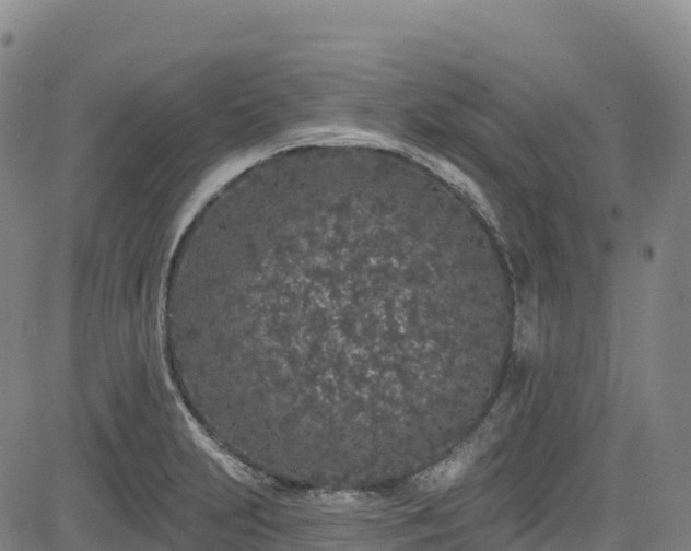 X0000085061231200703121516