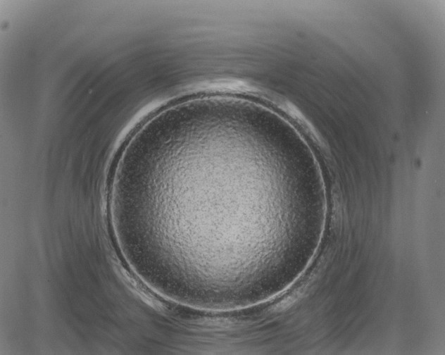 X0000085061232200703121516