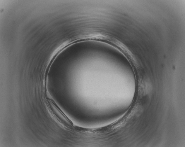 X0000085061234200703121516