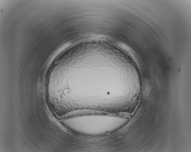 X0000085061235200703121516