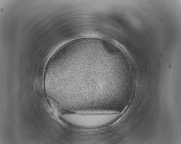 X0000085061236200703121517