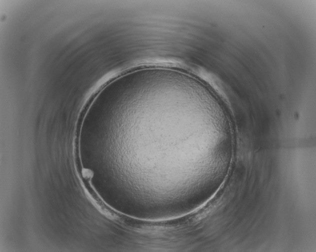 X0000085061237200703121517