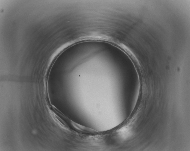 X0000085061238200703121517