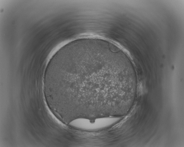 X0000085061239200703121517