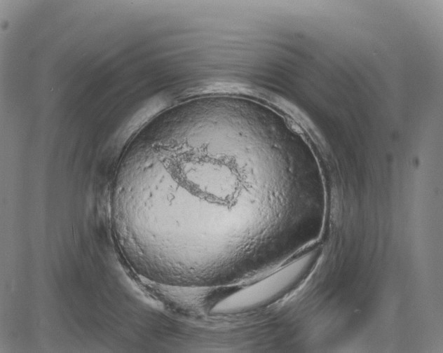 X0000085061241200703121517