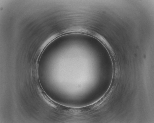 X0000085061242200703121517