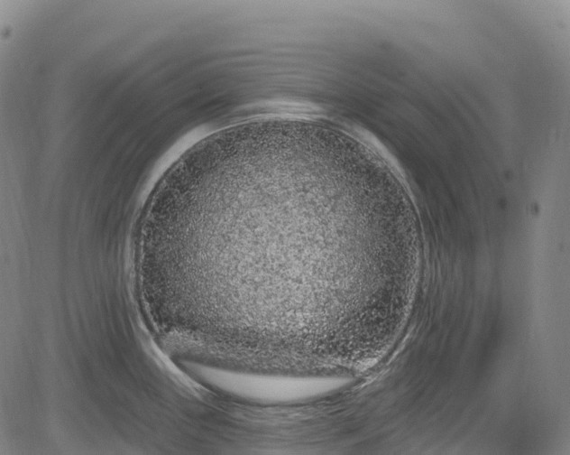 X0000085061243200703121517