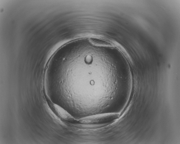 X0000085061244200703121517