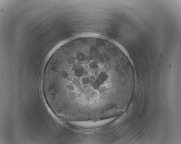 X0000085061245200703121517