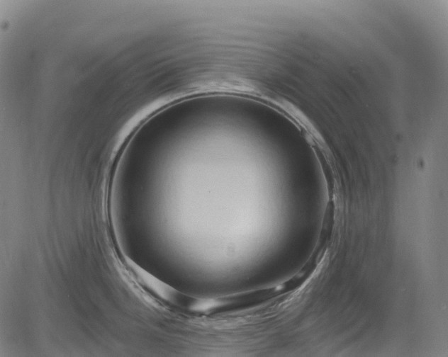 X0000085061246200703121517