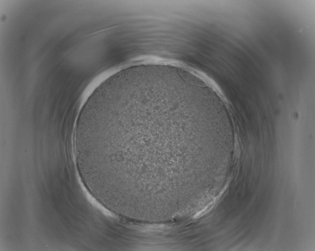 X0000085061247200703121517