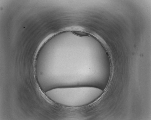 X0000085061248200703121517