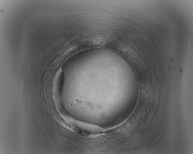 X0000085061249200703121516