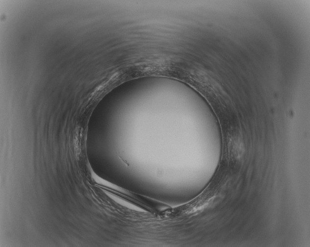 X0000085061250200703121516