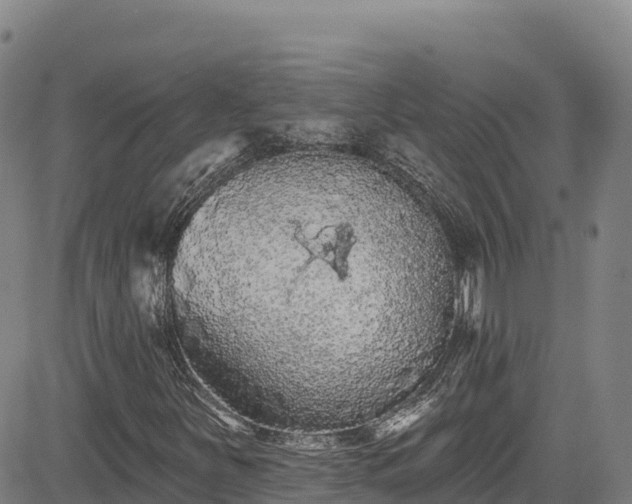 X0000085061251200703121516