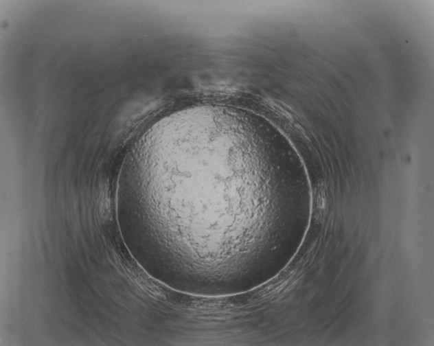 X0000085061252200703121516