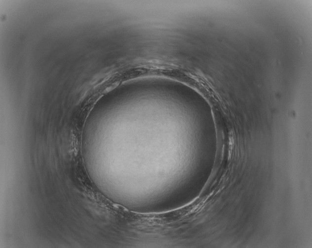 X0000085061253200703121516