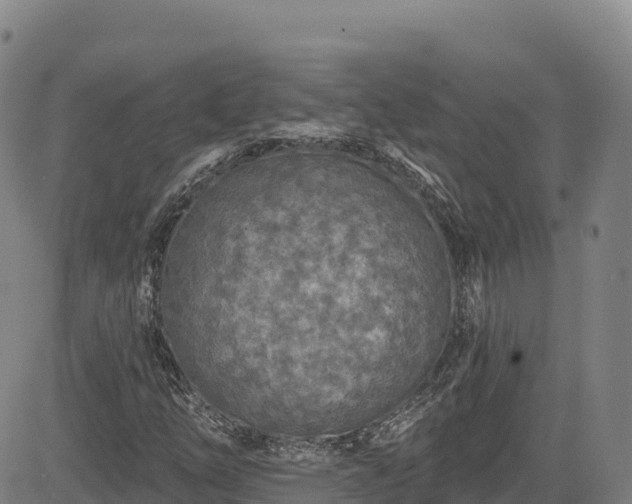 X0000085061254200703121516