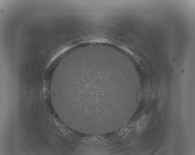 X0000085061255200703121516