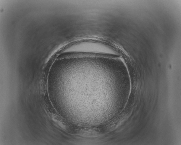 X0000085061256200703121516