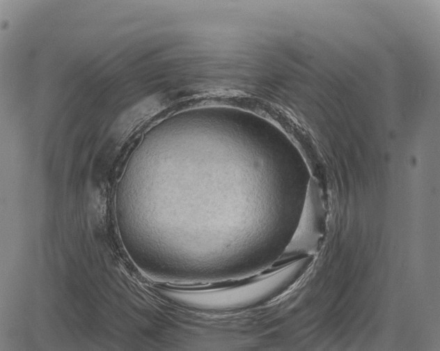 X0000085061257200703121516