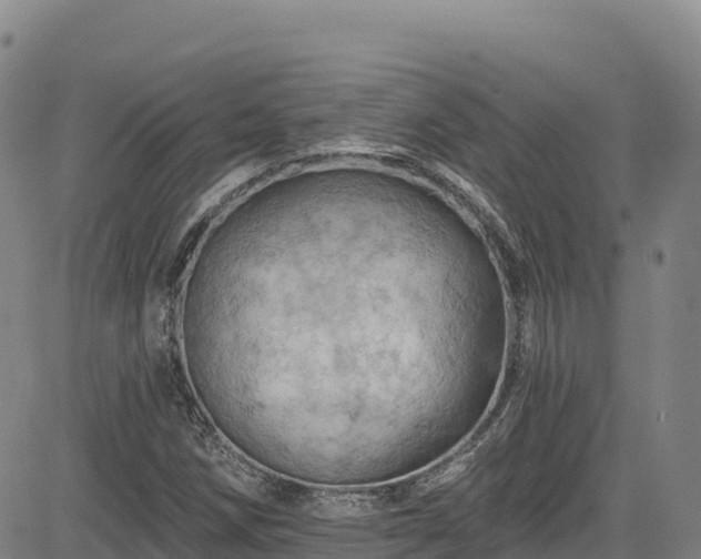 X0000085061258200703121516