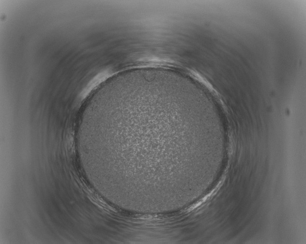 X0000085061259200703121516