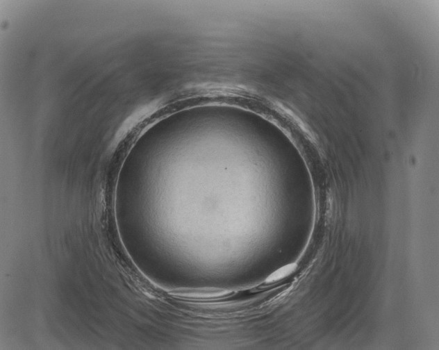 X0000085061261200703121516