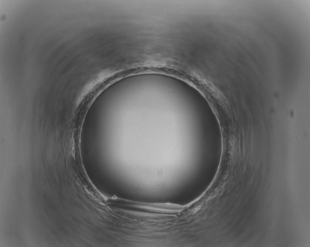 X0000085061262200703121516