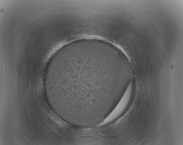 X0000085061263200703121516