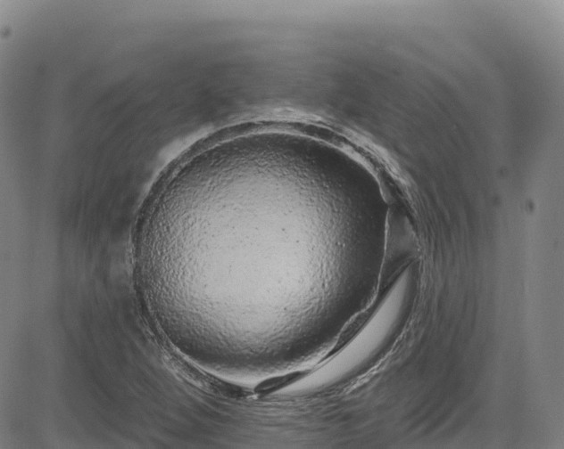 X0000085061264200703121516