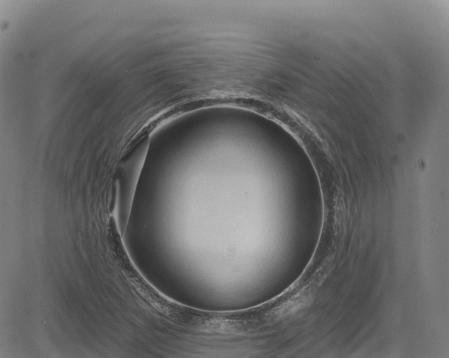 X0000085061265200703121516