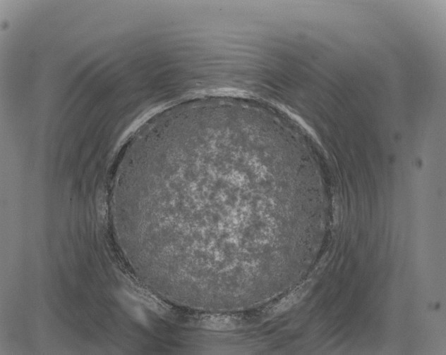 X0000085061266200703121516