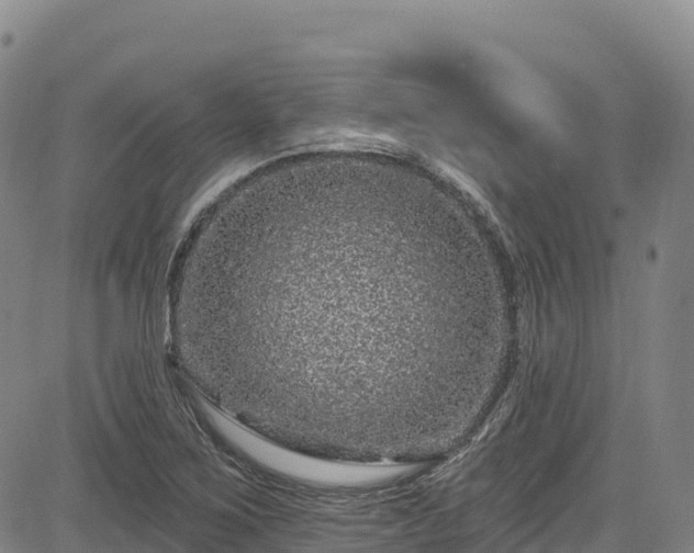 X0000085061267200703121516