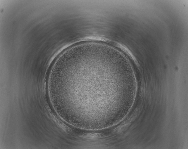 X0000085061268200703121516