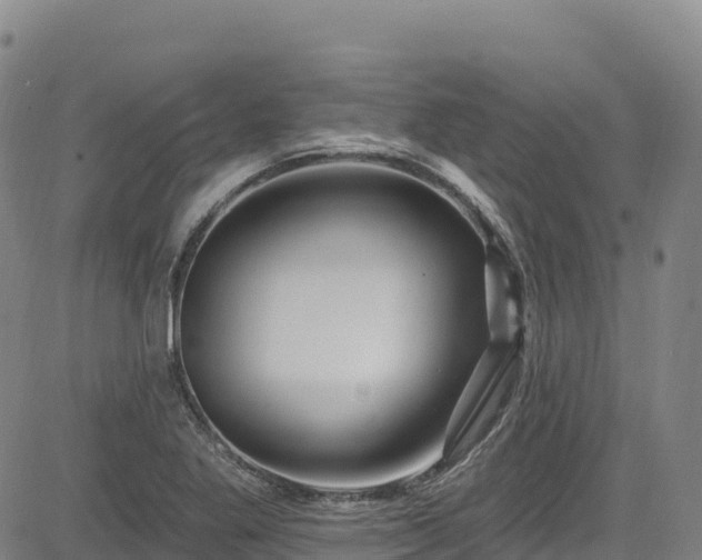 X0000085061269200703121516