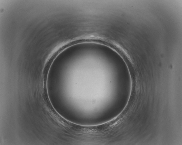 X0000085061270200703121516