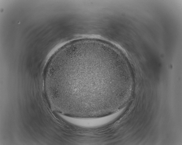 X0000085061271200703121516