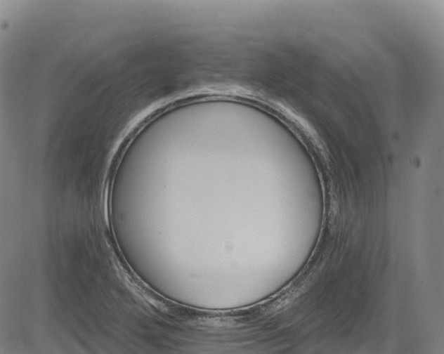 X0000085061272200703121516