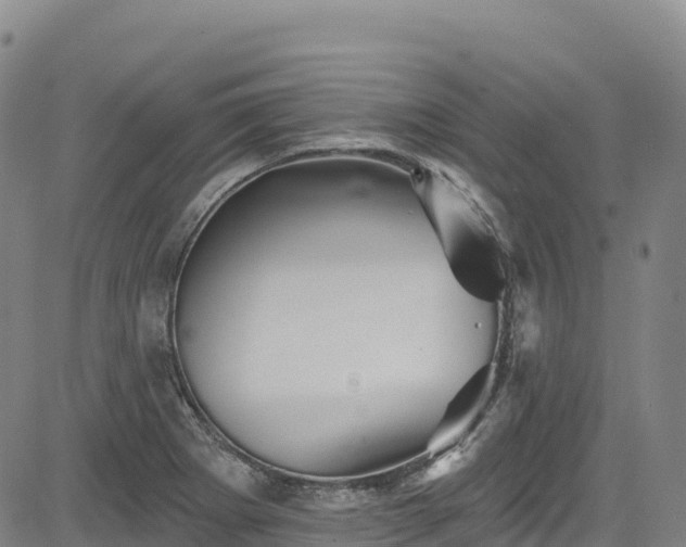 X0000085061273200703121516